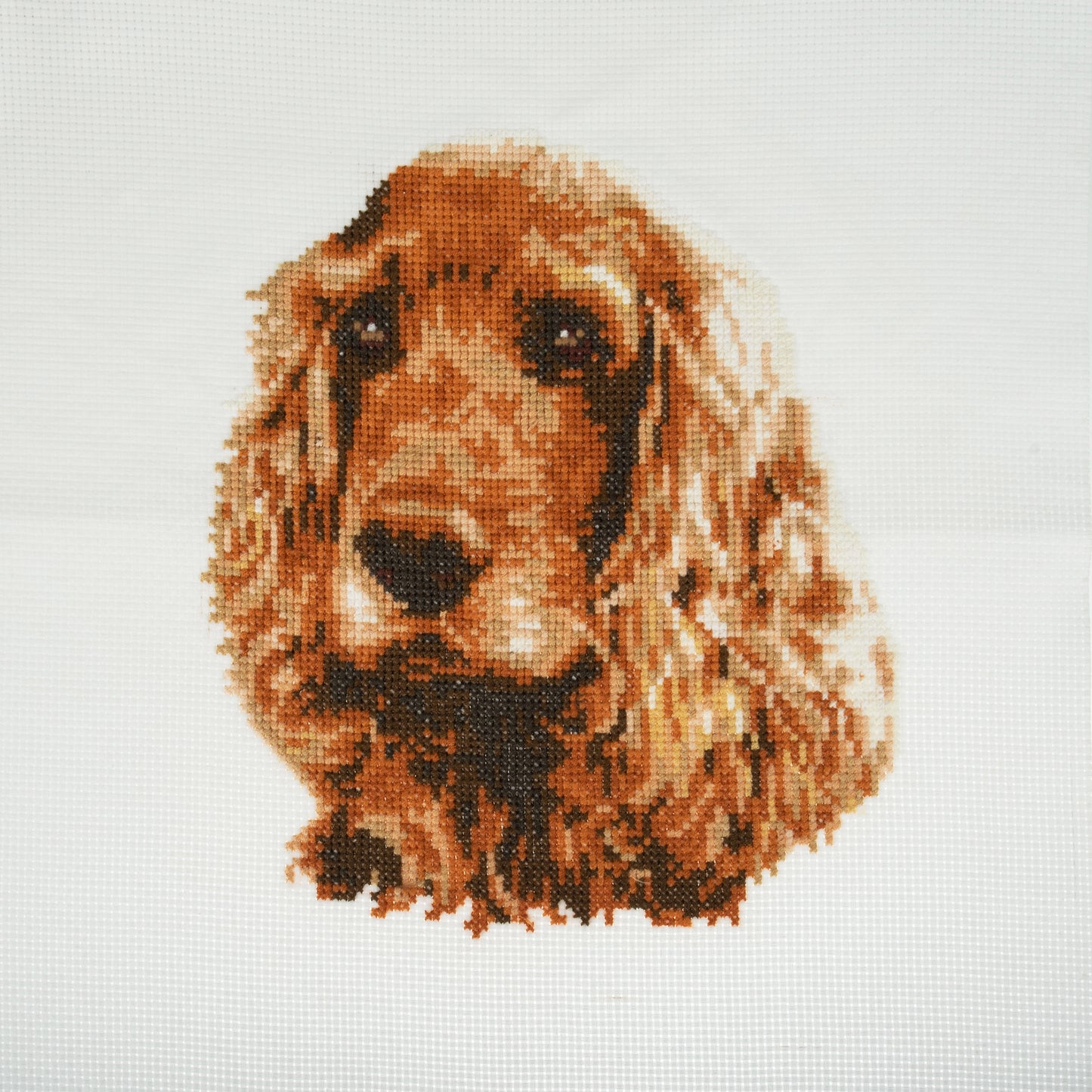 Cocker Spaniel - Trimits Counted Cross Stitch Kit GC109