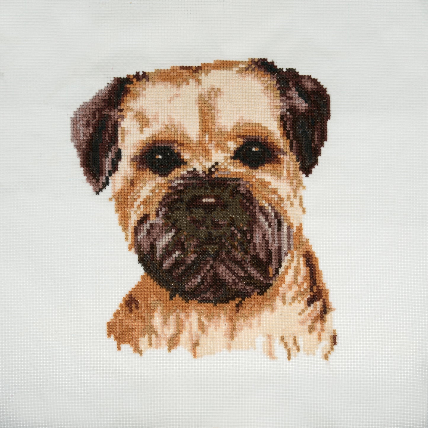 Border Terrier - Trimits Counted Cross Stitch Kit GCS110