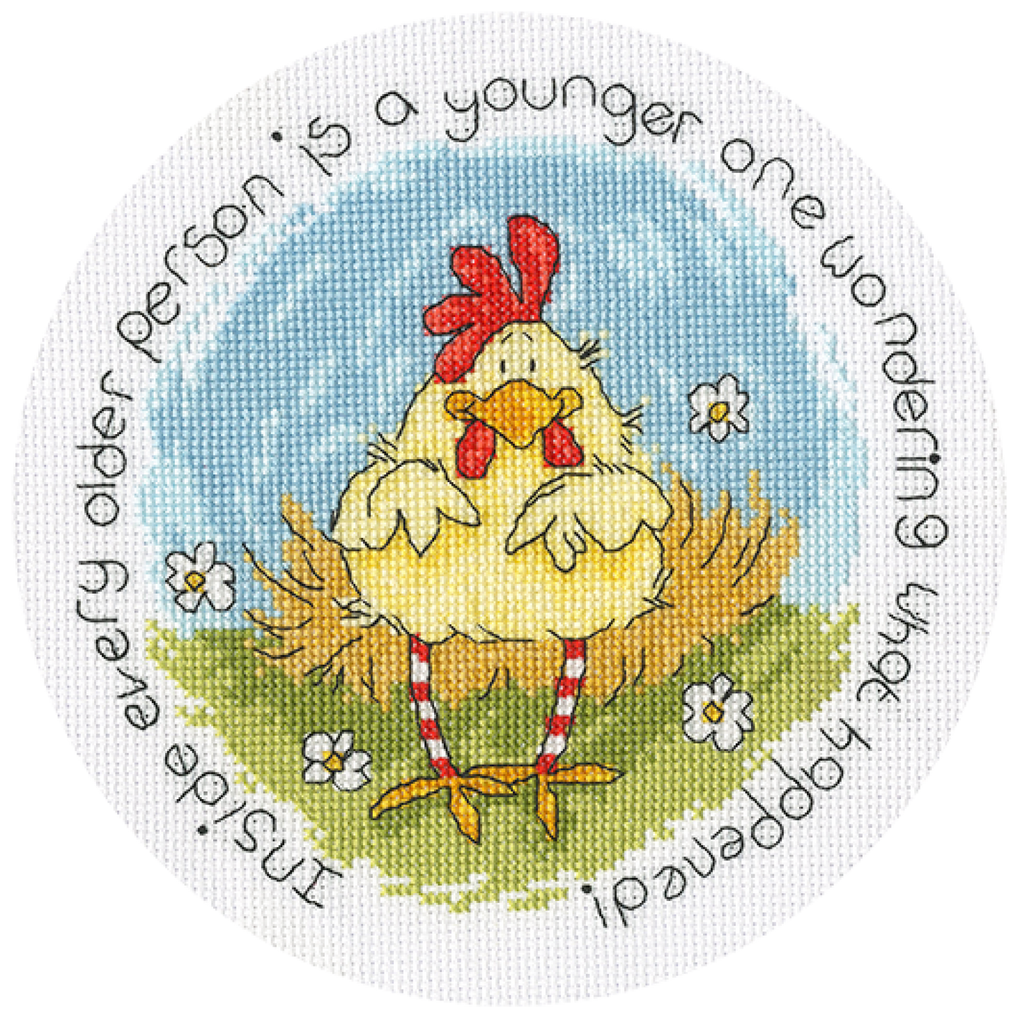 Spring Chicken - Bothy Threads Cross Stitch Kit XMS39