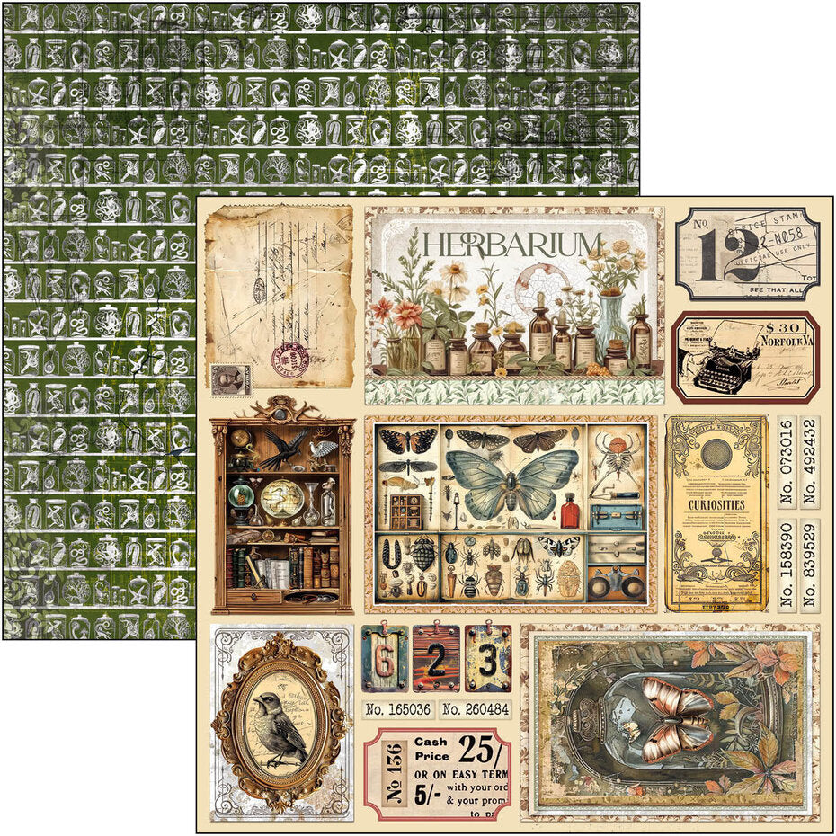 Ciao Bella Cabinet of Curiosities 12x12 Inch Paper Pad (12pcs) (CBPM085)