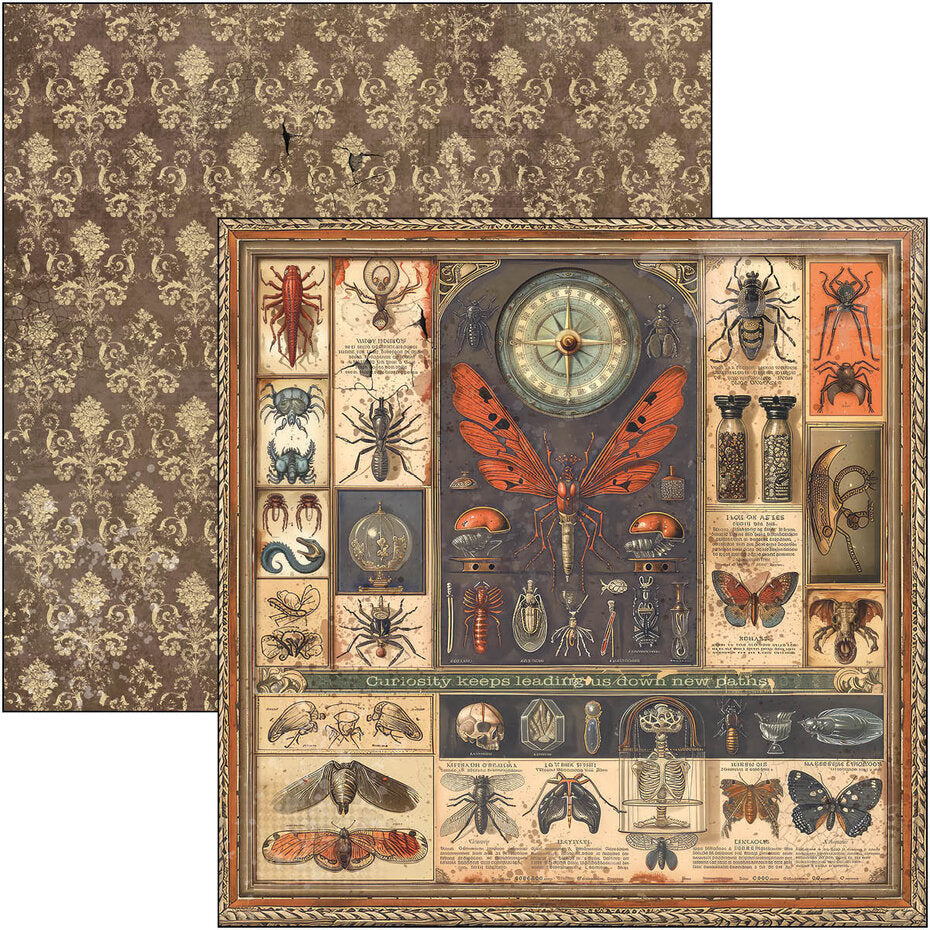 Ciao Bella Cabinet of Curiosities 12x12 Inch Paper Pad (12pcs) (CBPM085)