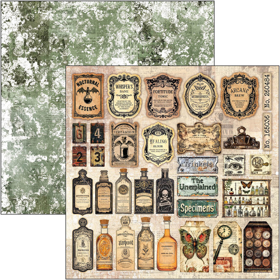 Ciao Bella Cabinet of Curiosities 12x12 Inch Paper Pad (12pcs) (CBPM085)