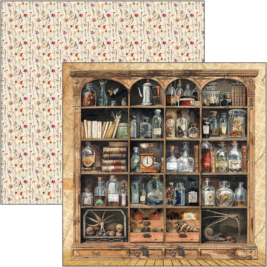 Ciao Bella Cabinet of Curiosities 12x12 Inch Patterns Pad (8pcs) (CBT085)