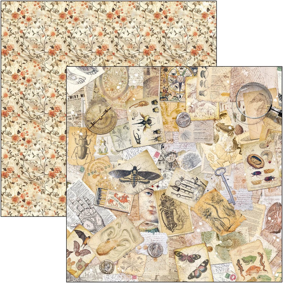 Ciao Bella Cabinet of Curiosities 8x8 Inch Paper Pad (12pcs) (CBH085)