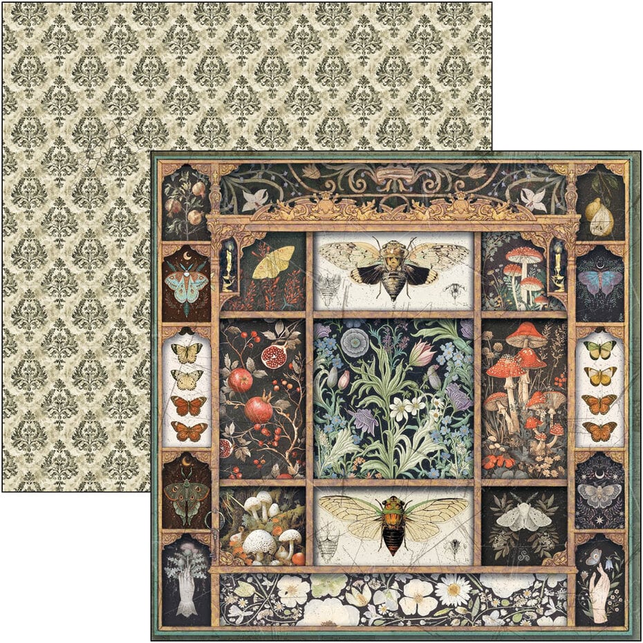 Ciao Bella Cabinet of Curiosities 8x8 Inch Paper Pad (12pcs) (CBH085)