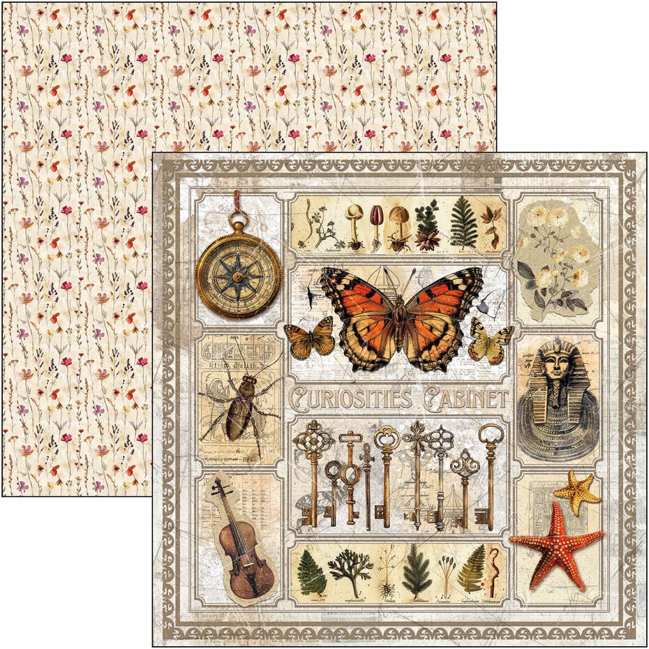 Ciao Bella Cabinet of Curiosities 8x8 Inch Paper Pad (12pcs) (CBH085)