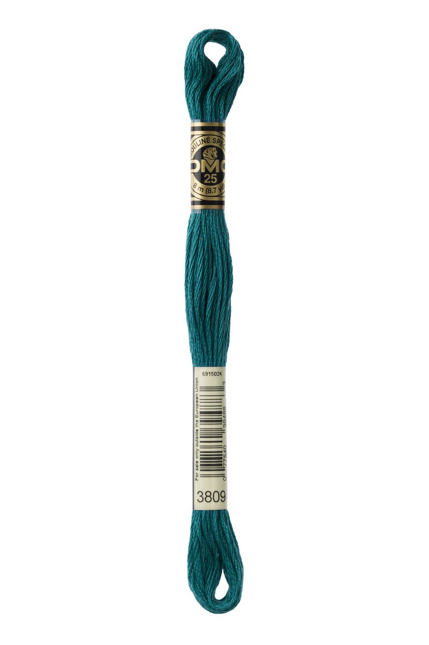 DMC Stranded Cotton 3809