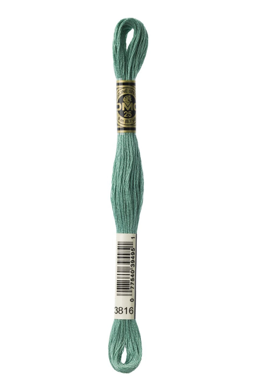 DMC Stranded Cotton 3816