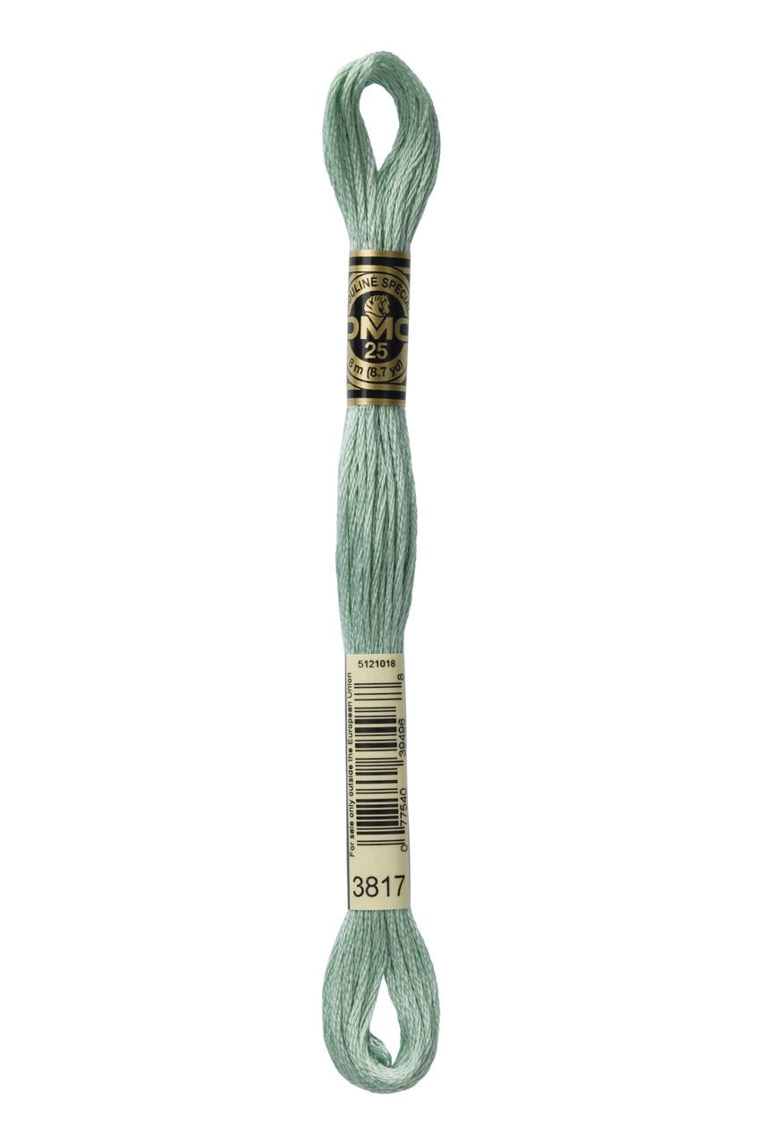 DMC Stranded Cotton 3817