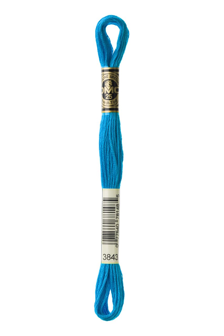 DMC Stranded Cotton 3843
