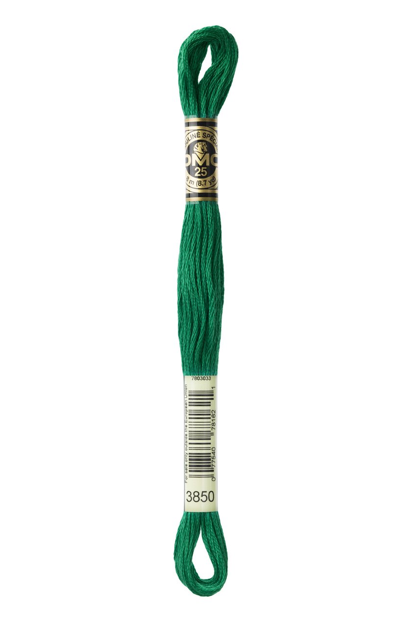 DMC Stranded Cotton 3850