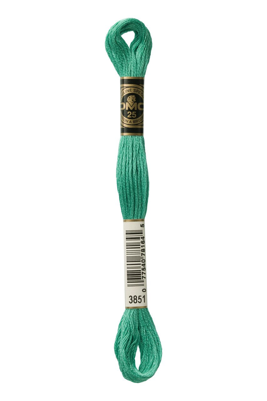 DMC Stranded Cotton 3851