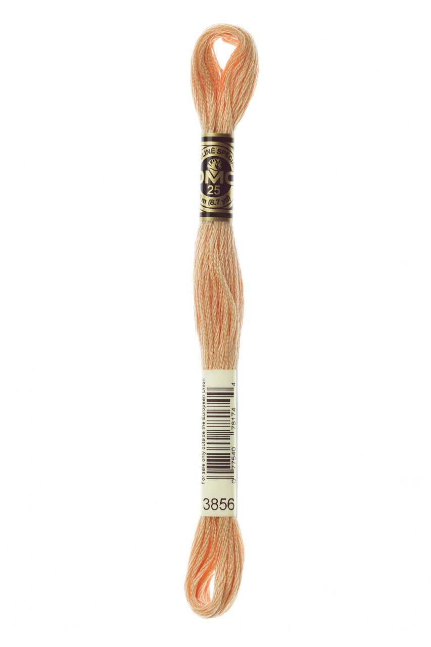 DMC Stranded Cotton 3856