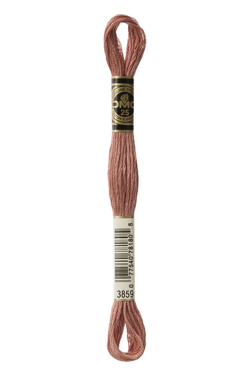 DMC Stranded Cotton 3859