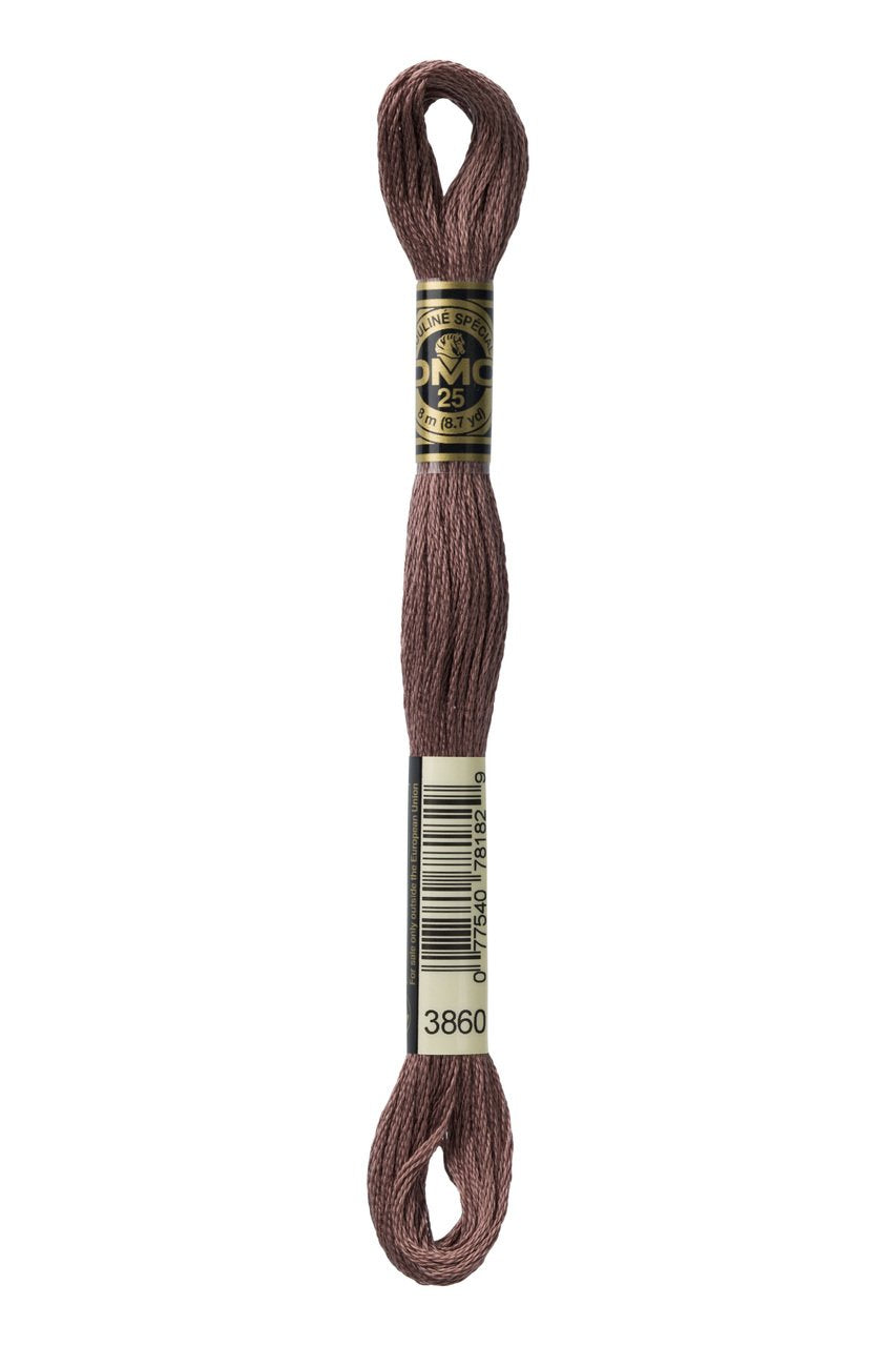 DMC Stranded Cotton 3860
