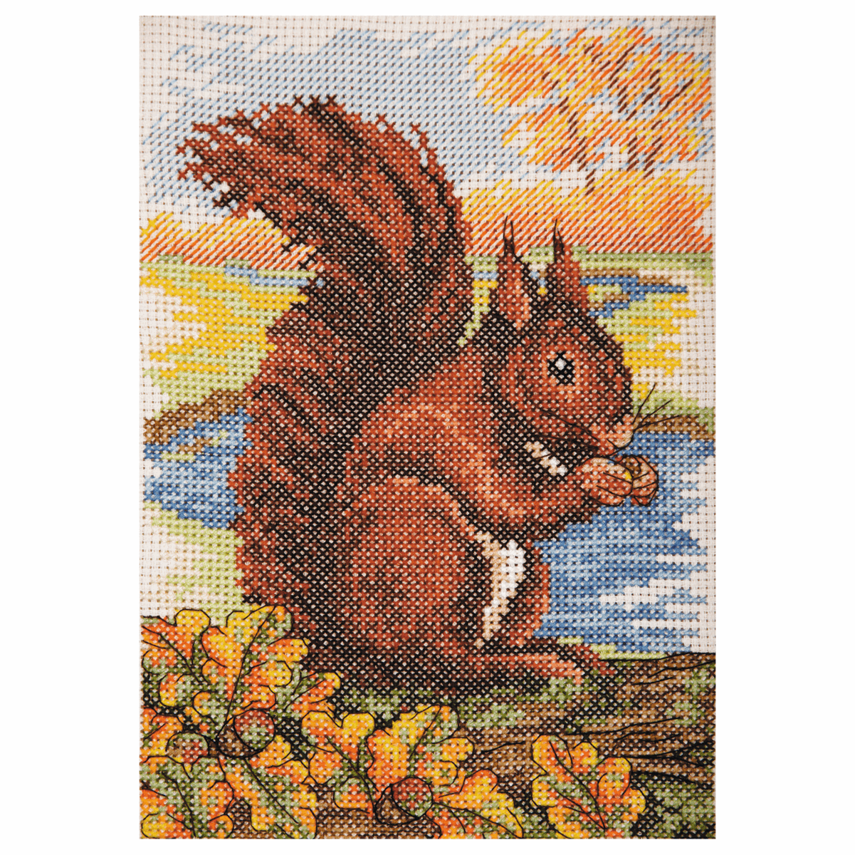 Red Squirrel - Anchor Cross Stitch Kit AK137
