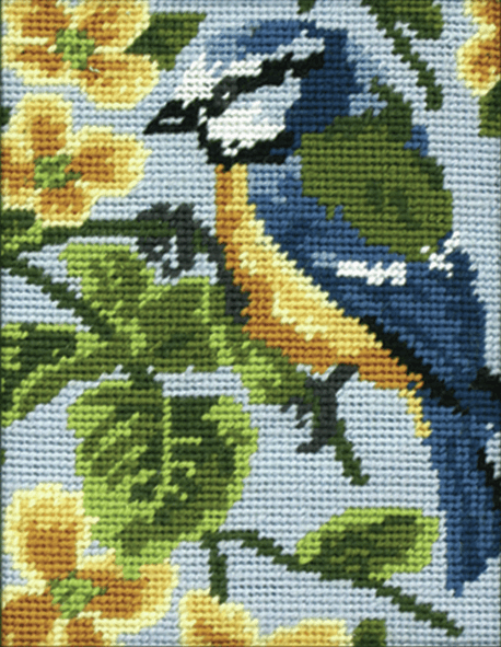 Blue Tit - Anchor Tapestry Kit: Starter Level MR928