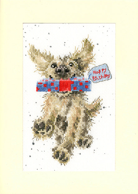 Greeting Card – Special Delivery - Bothy Threads Cross Stitch Kit XGC31-TP