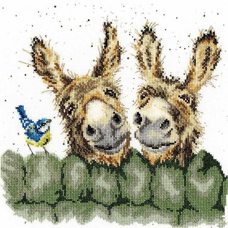Hee Haw  - Bothy Threads Cross Stitch Kit XHD70