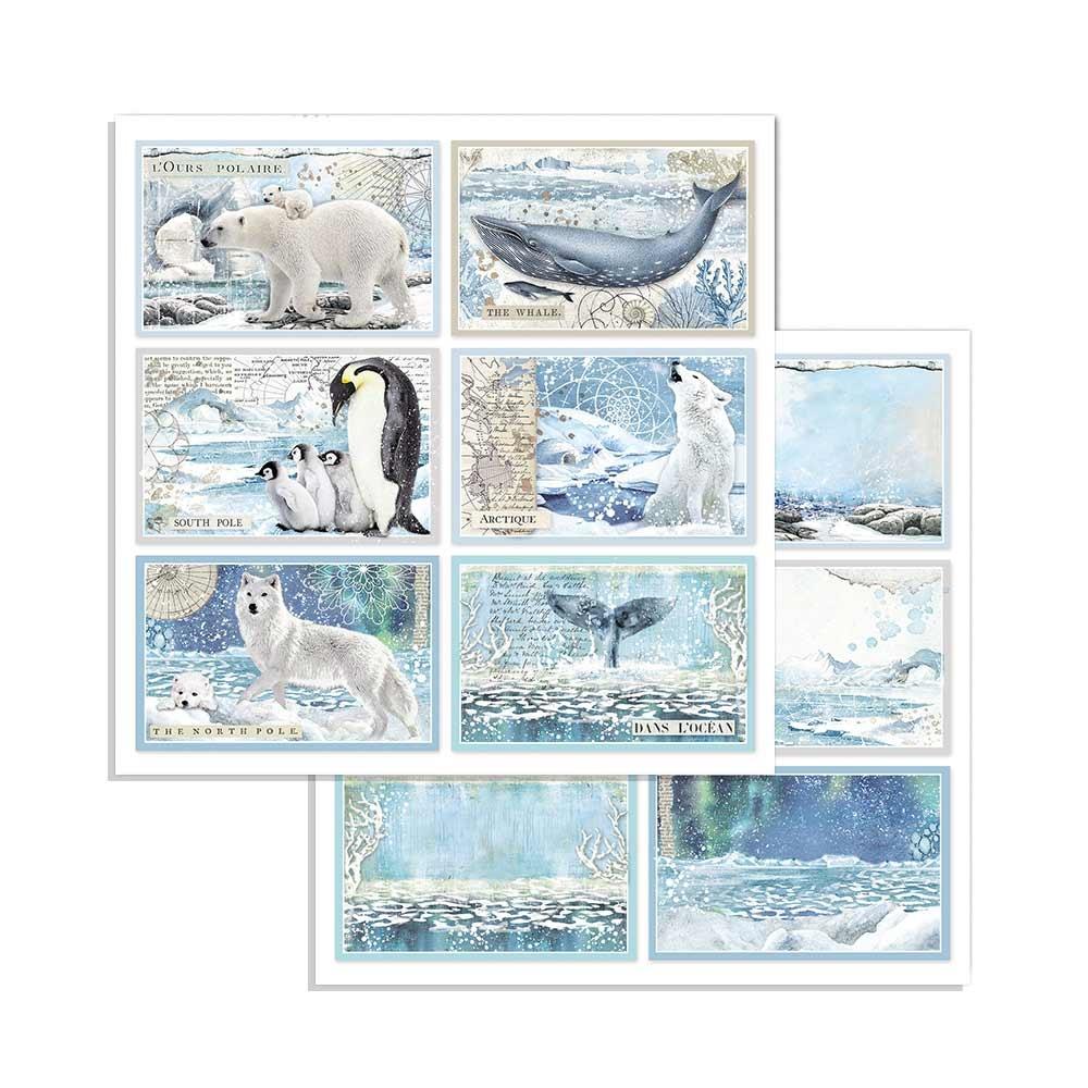 Stamperia Arctic Antarctic 8x8 Inch Paper Pack (SBBS20) -|