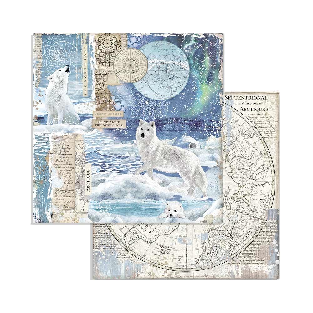 Stamperia Arctic Antarctic 8x8 Inch Paper Pack (SBBS20) -|