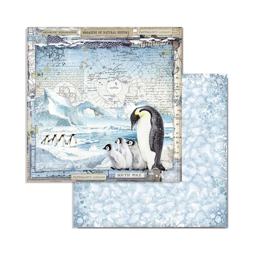 Stamperia Arctic Antarctic 8x8 Inch Paper Pack (SBBS20) -|