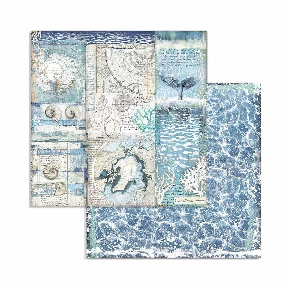 Stamperia Arctic Antarctic 8x8 Inch Paper Pack (SBBS20) -|