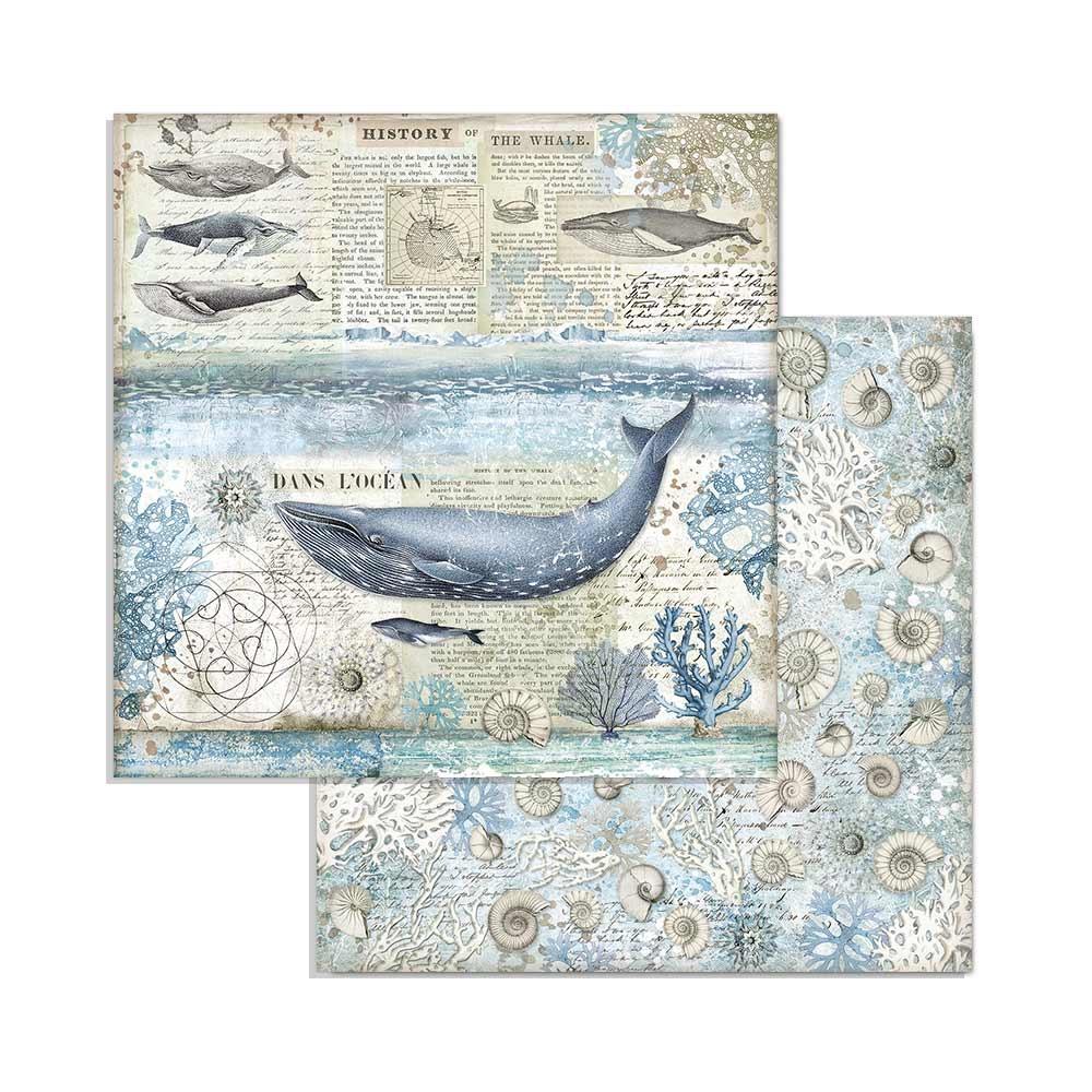 Stamperia Arctic Antarctic 8x8 Inch Paper Pack (SBBS20) -|