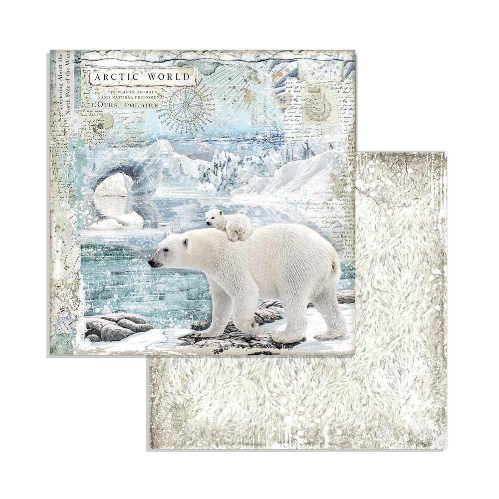 Stamperia Arctic Antarctic 8x8 Inch Paper Pack (SBBS20) -|