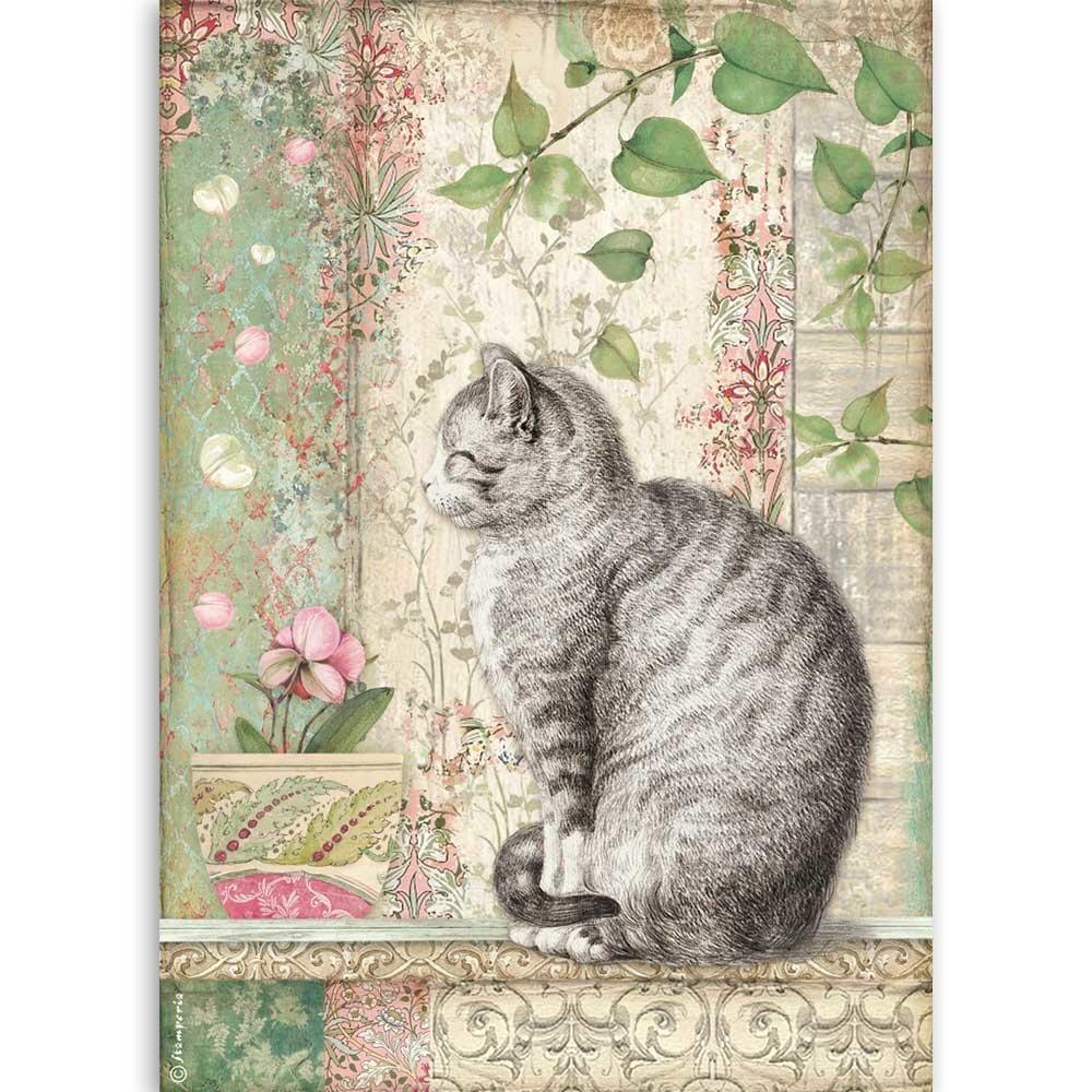 Stamperia Rice Paper A4 Cat (DFSA4511)