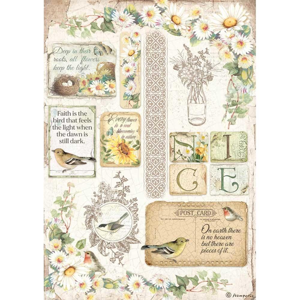 Stamperia Rice Paper A4 Daisy (DFSA4620)