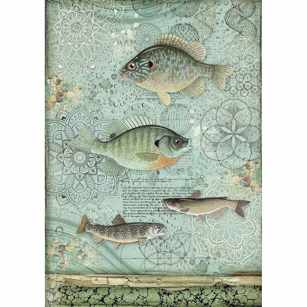 Stamperia Rice Paper A4 Fish (DFSA4428) for Decoupage