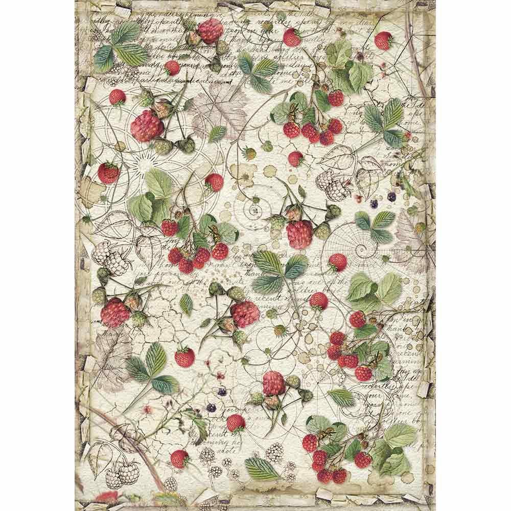 Stamperia Rice Paper A4 Raspberry (DFSA4429) for Decoupage -|