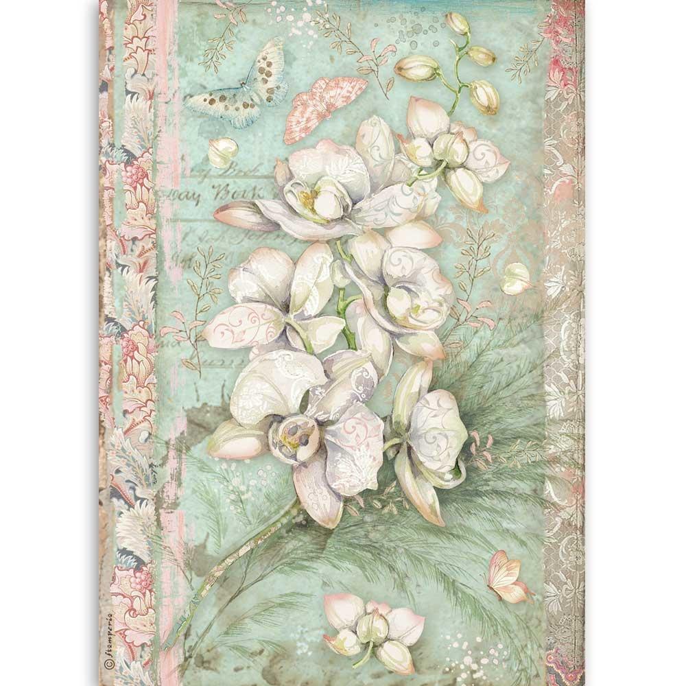 Stamperia Rice Paper A4 White Orchid (DFSA4508)