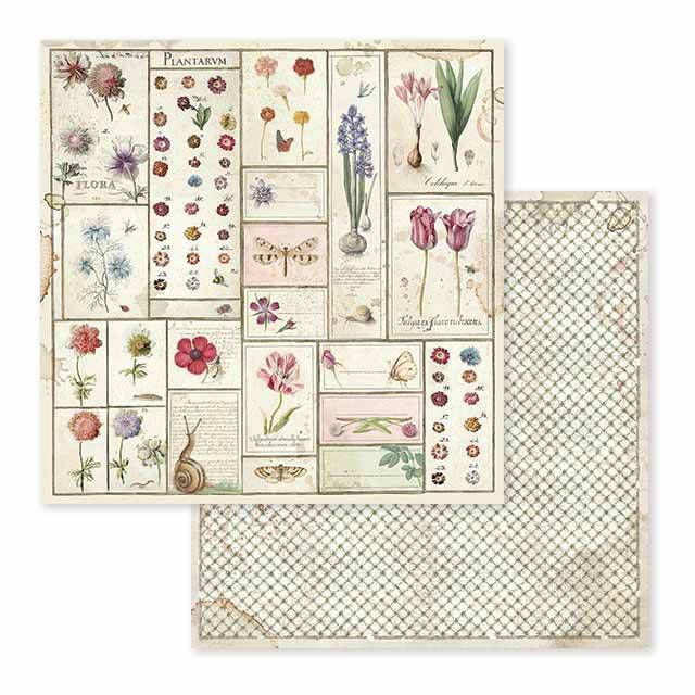 Stamperia Spring Botanic 12x12 Inch Paper Pack SBBL50 for Scrapbooking