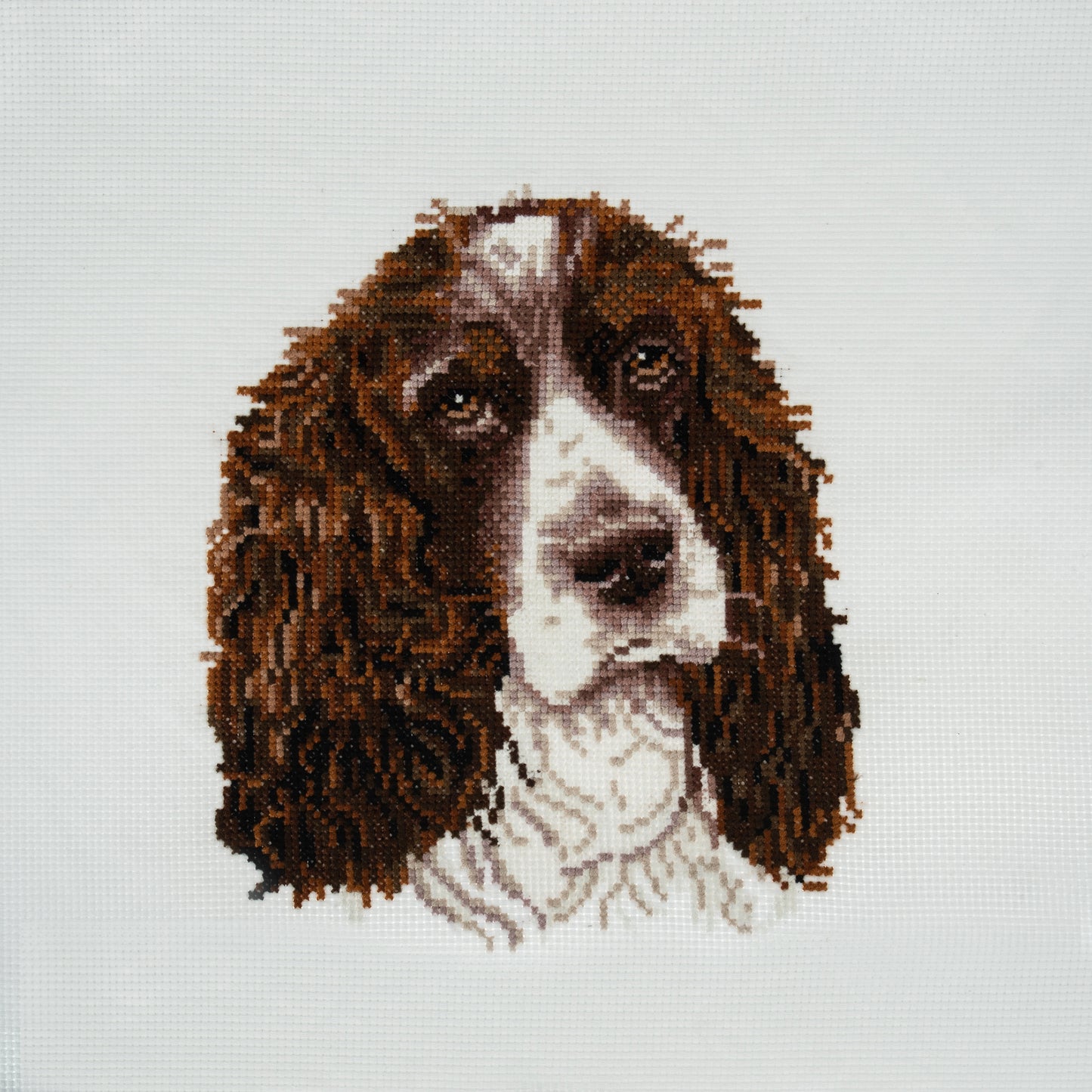 Springer Spaniel - Trimits Counted Cross Stitch Kit GCS105