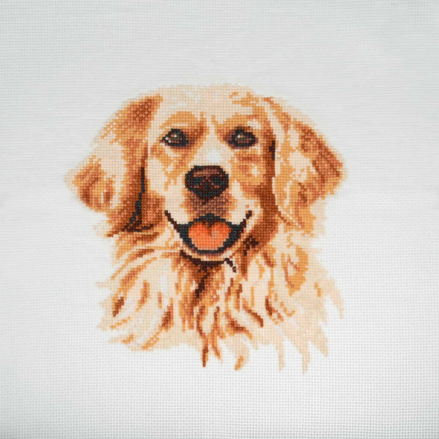 Golden Lab Retriever - Trimits Counted Cross Stitch Kit GCS106