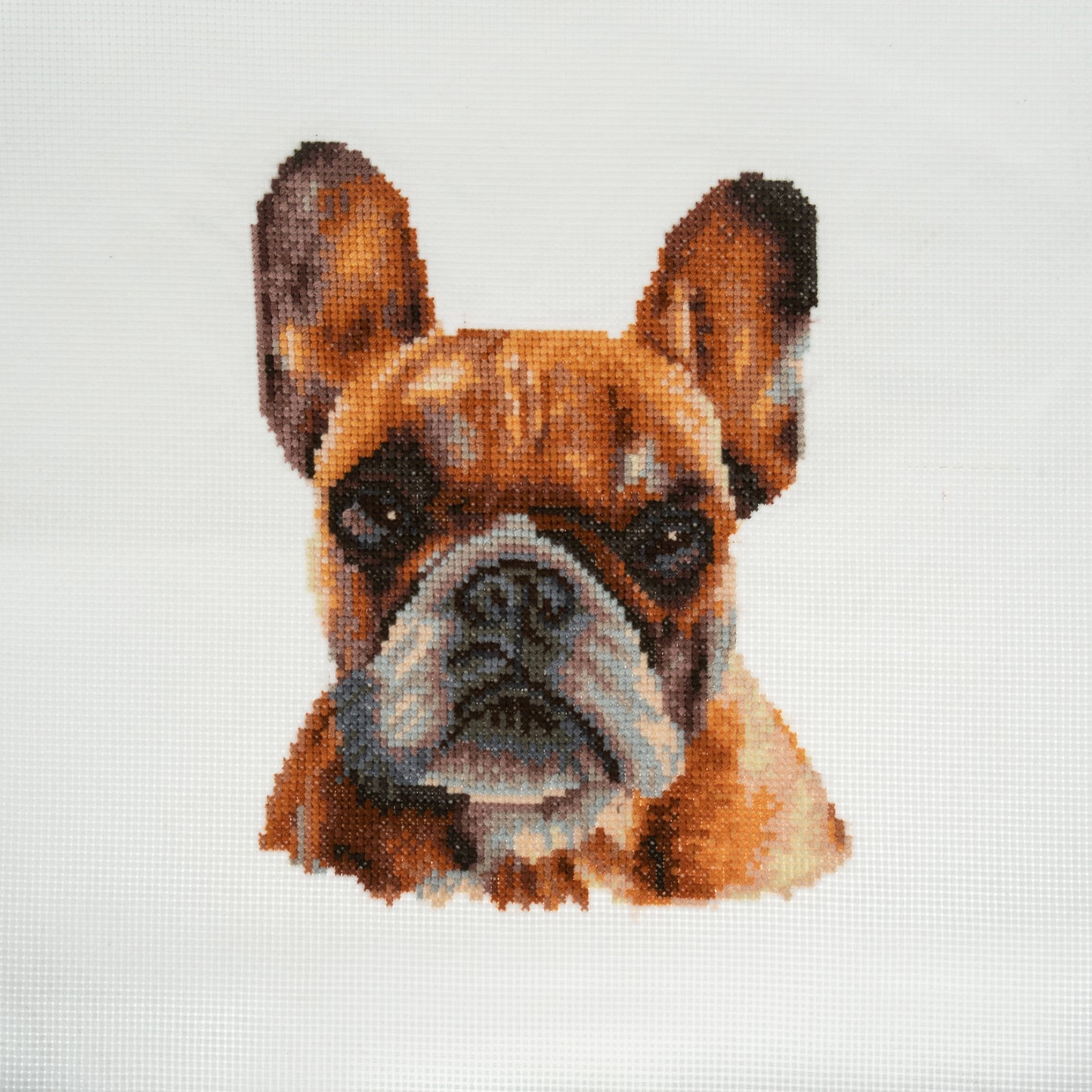 French Bulldog- Trimits Counted Cross Stitch Kit GCS107
