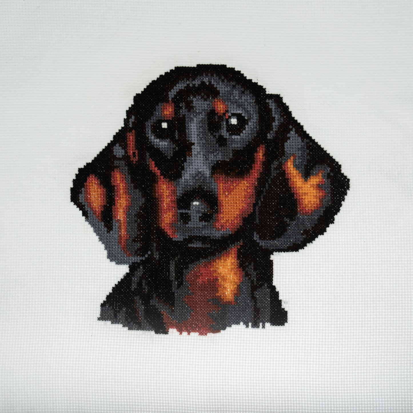 Dachshund- Trimits Counted Cross Stitch Kit GCS108