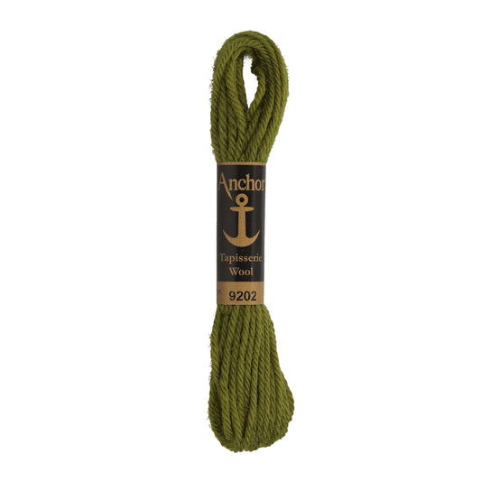 Anchor Tapestry Wool - Shade 9202 - 10m