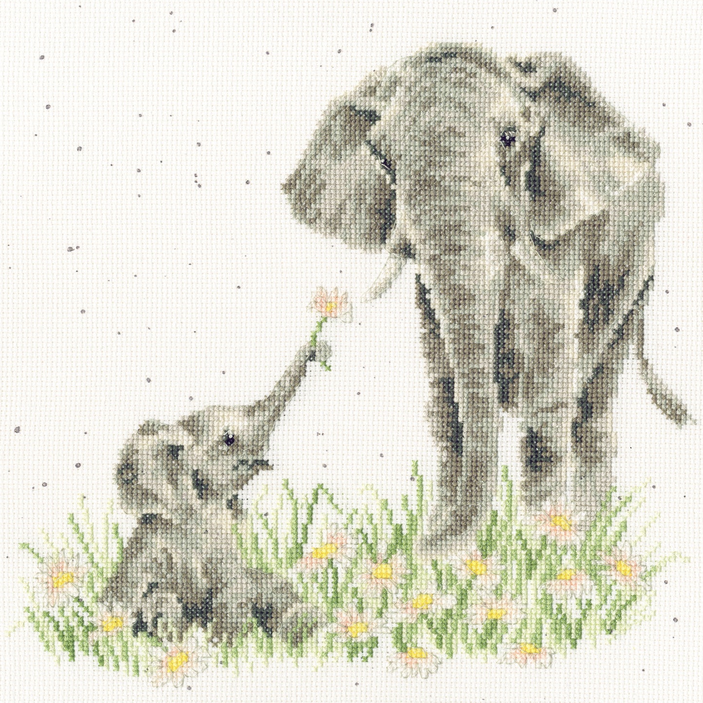 Bloom and Grow - Bothy Threads Cross Stitch Kit XHD155