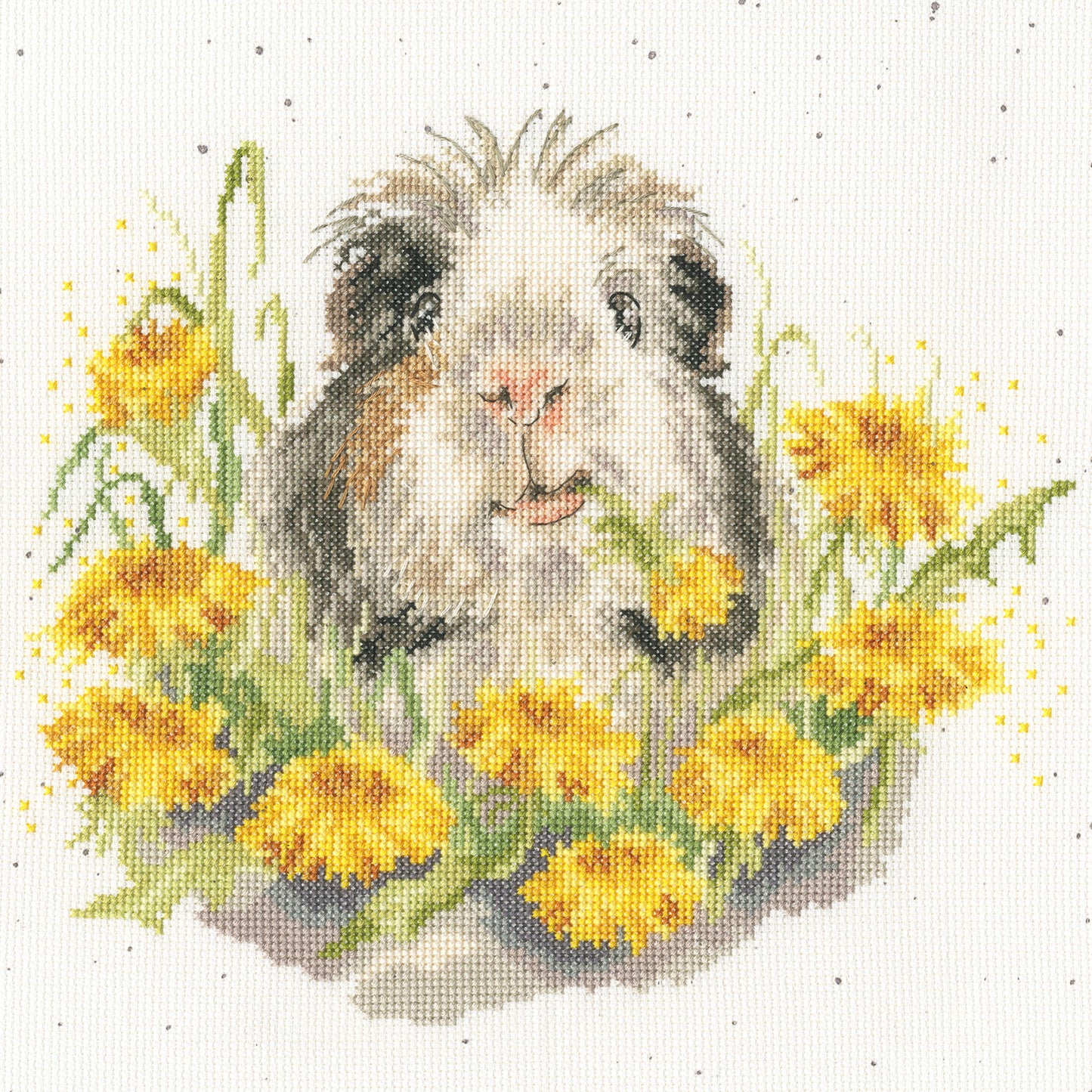 Dandy Day - Bothy Threads Cross Stitch Kit XHD165