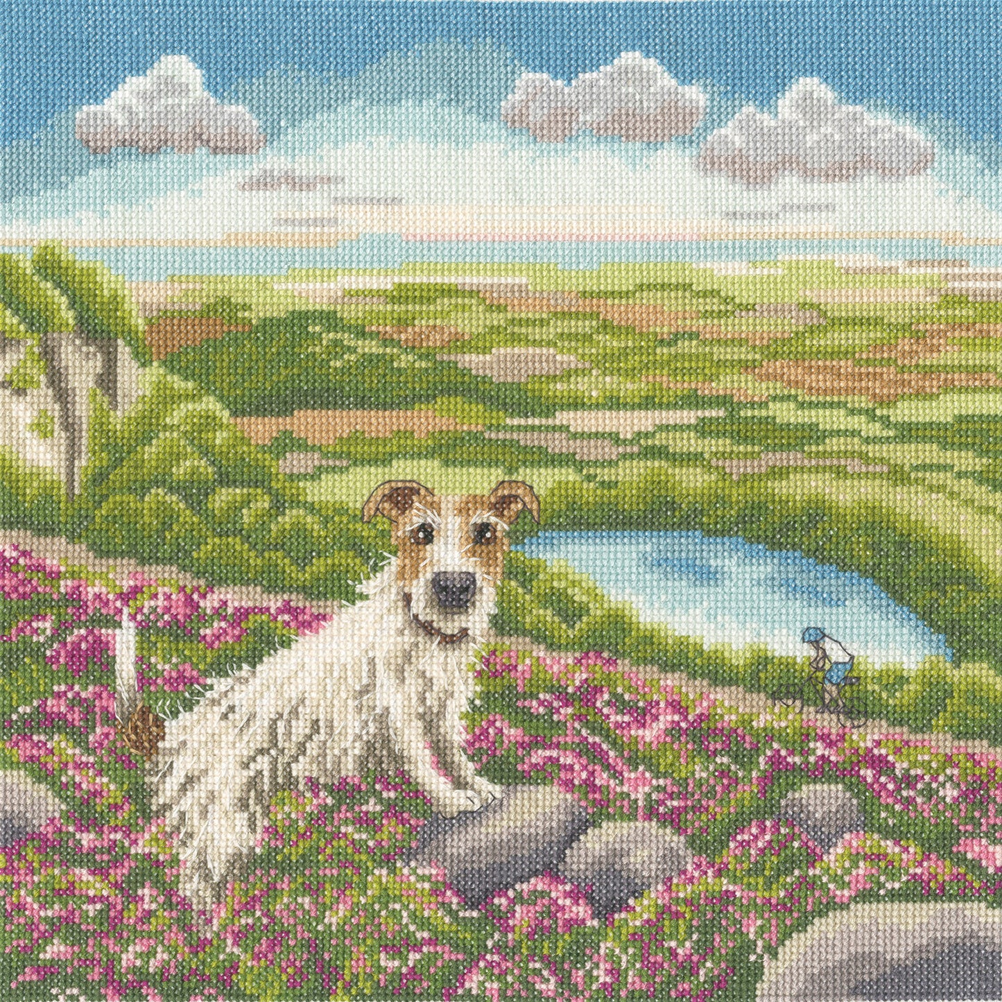One Vet And His Dog - Bothy Threads Cross Stitch Kit XLP25