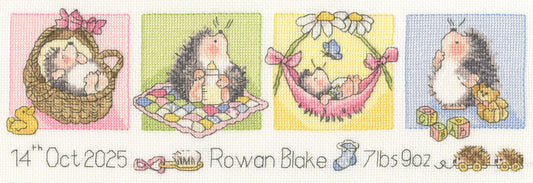 Little Hoglet - Bothy Threads Cross Stitch Kit XMS44