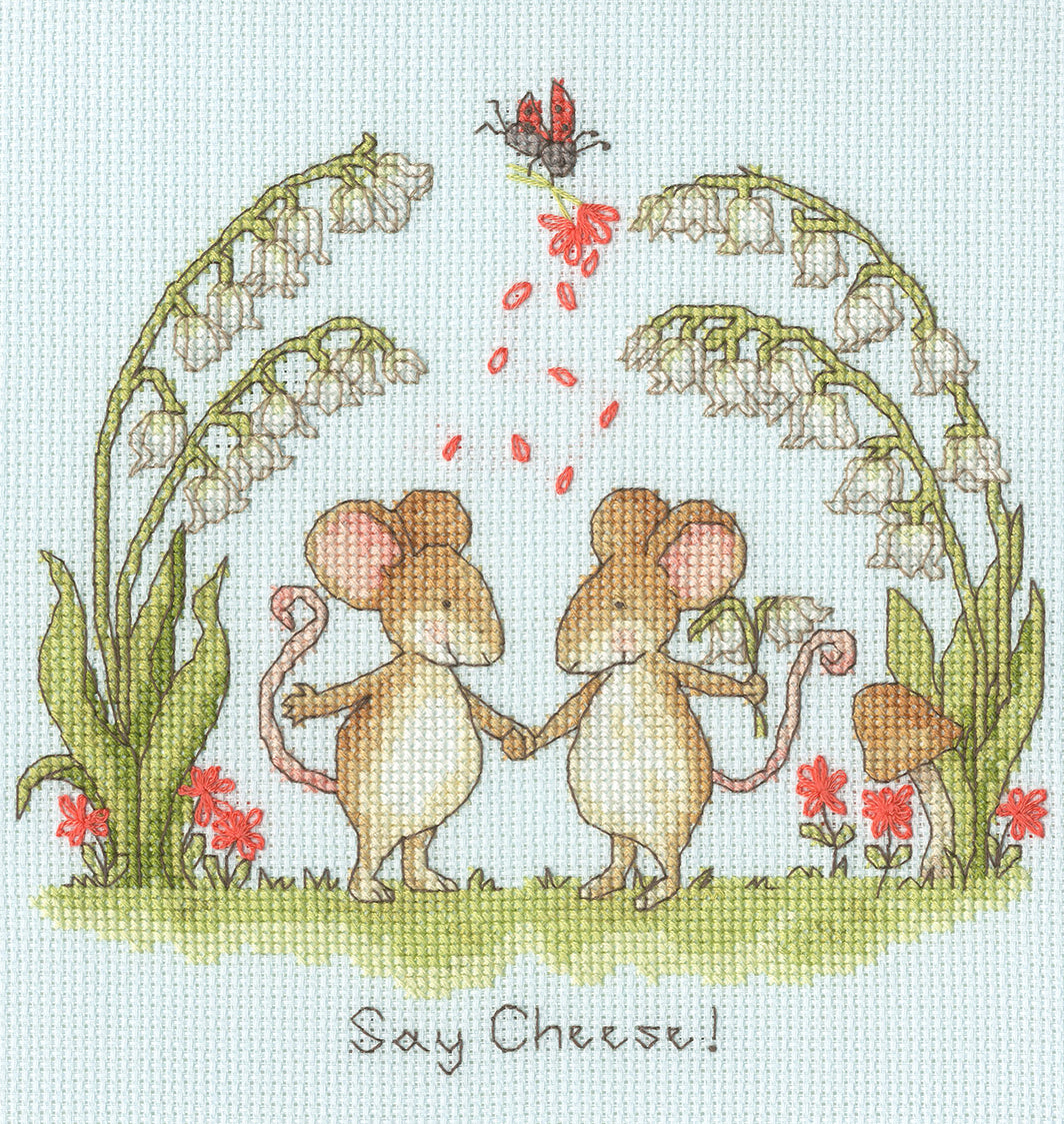 Say Cheese! - Bothy Threads Cross Stitch Kit XSN3