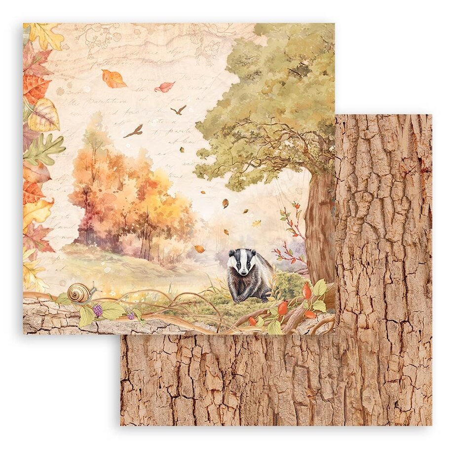 Stamperia Woodland 8x8 Inch Paper Pack (SBBS92)