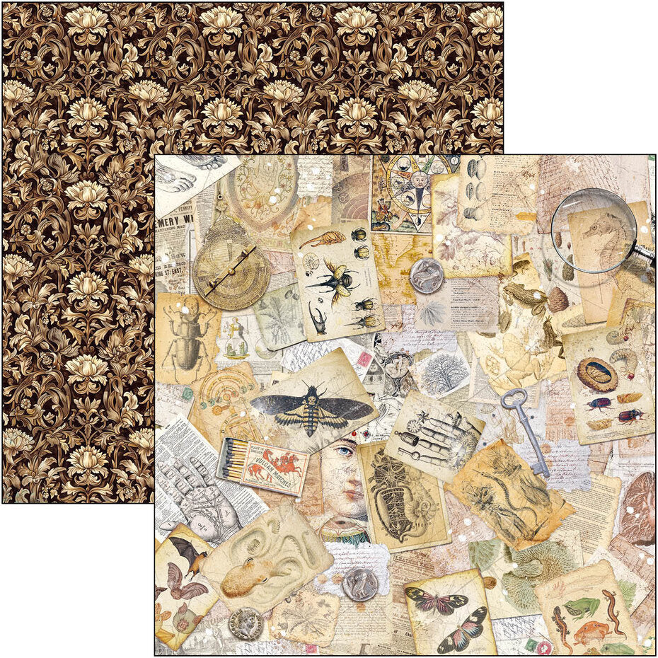 Ciao Bella Cabinet of Curiosities 12x12 Inch Patterns Pad (8pcs) (CBT085)