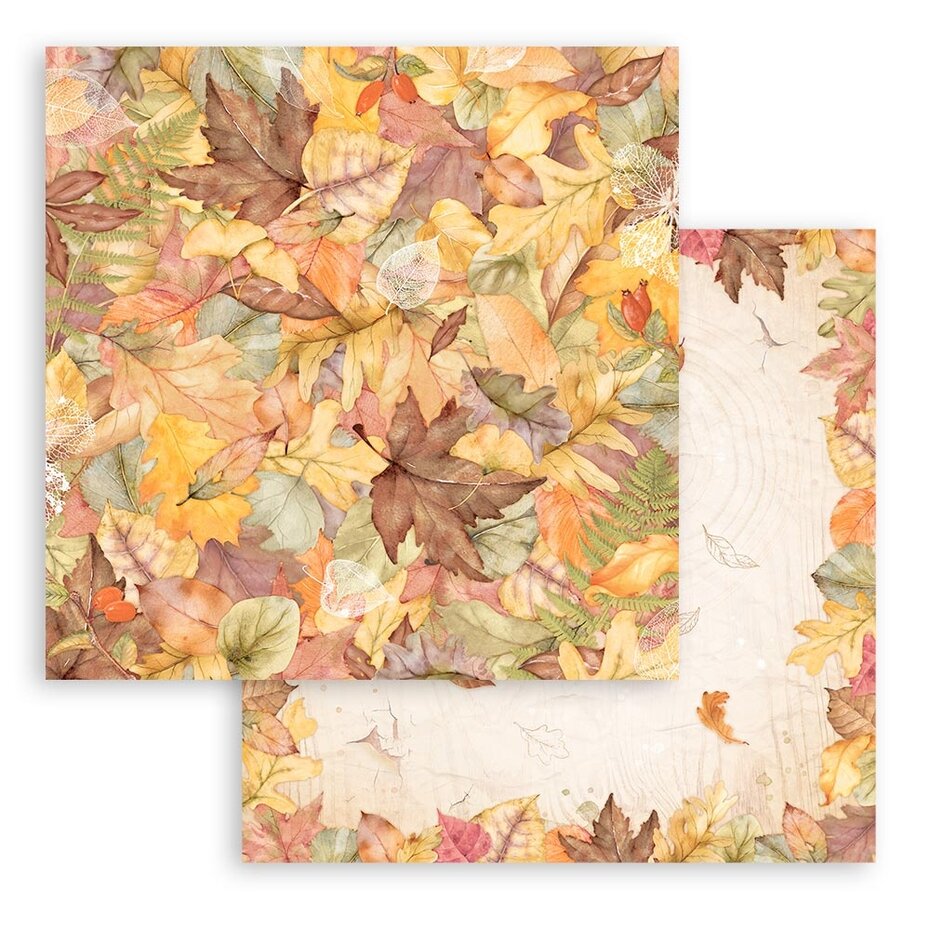 Stamperia Woodland 8x8 Inch Paper Pack (SBBS92)