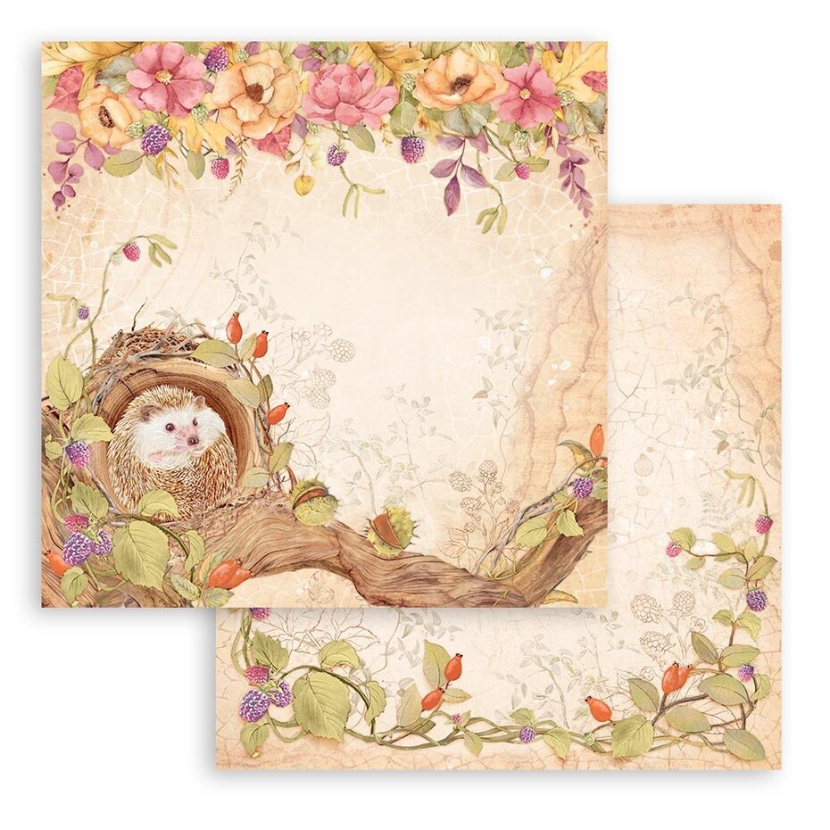 Stamperia Woodland 8x8 Inch Paper Pack (SBBS92)