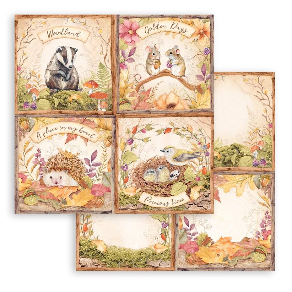 Stamperia Woodland 8x8 Inch Paper Pack (SBBS92)